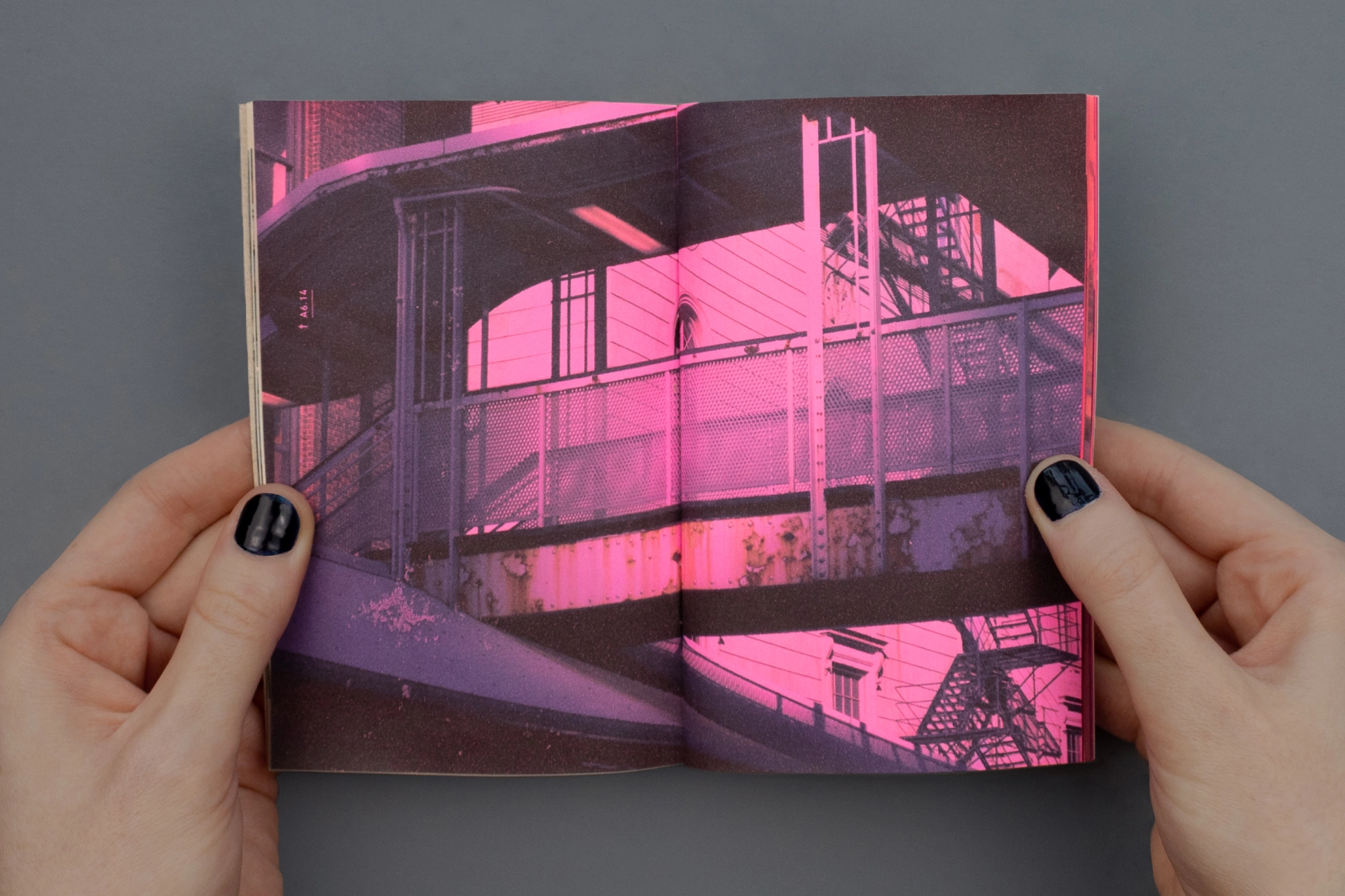 The Complete Field Guide, image 1