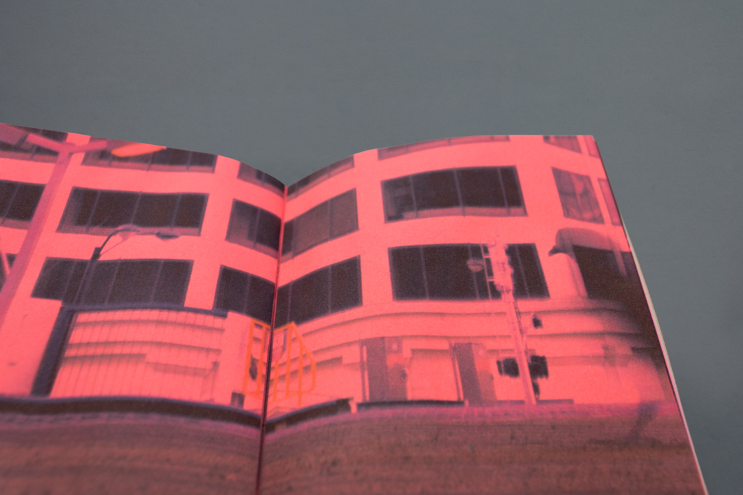 The Complete Field Guide, image 2